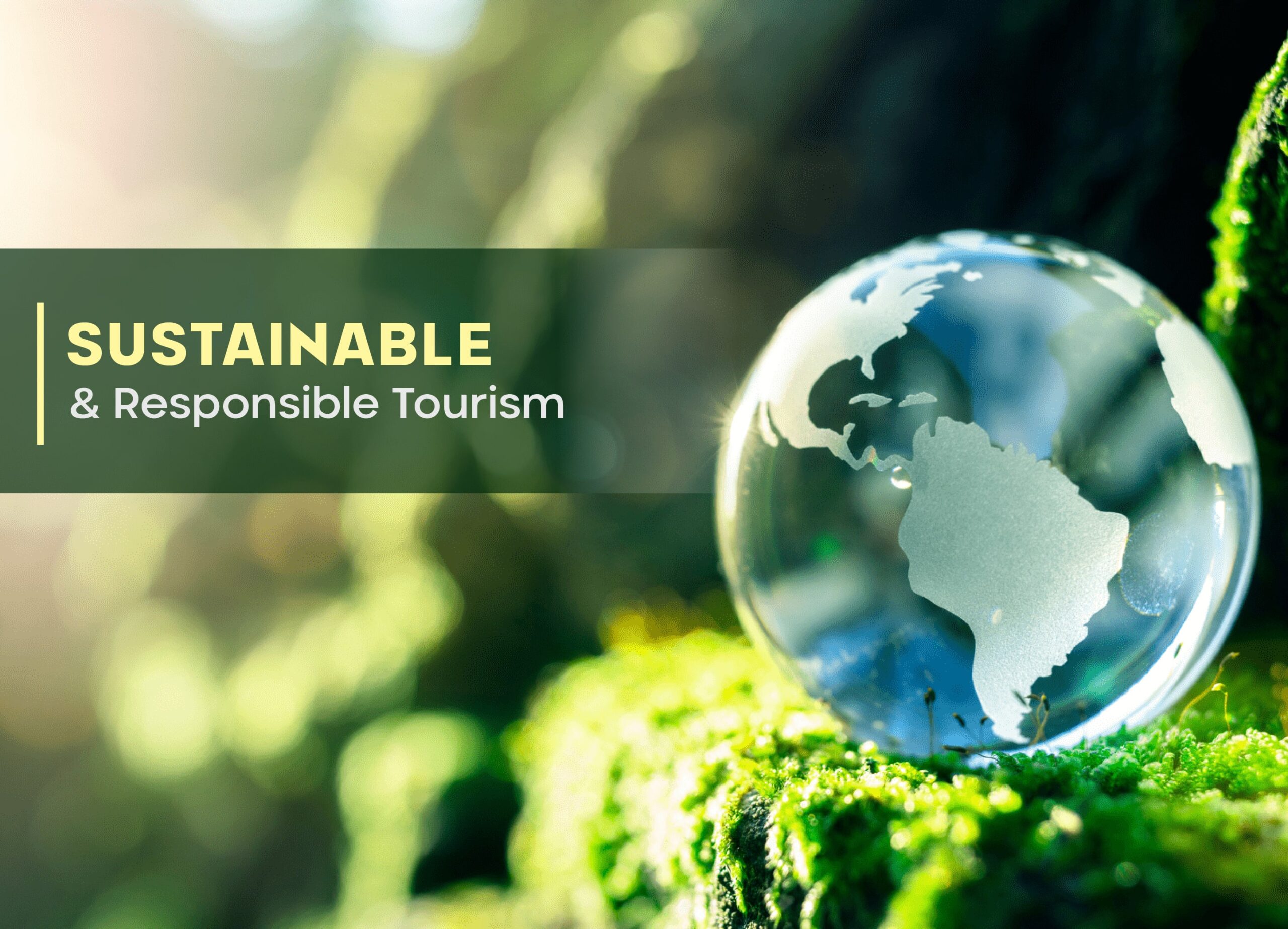 Driving Positive Change Through Sustainable and Responsible Tourism