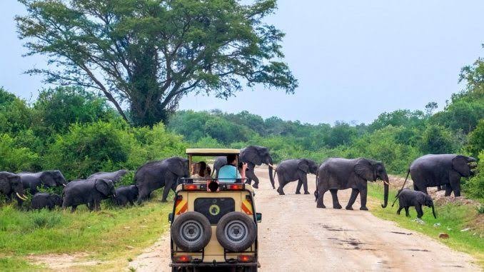 Uganda Tourism booms – International arrivals surge by 56 percent