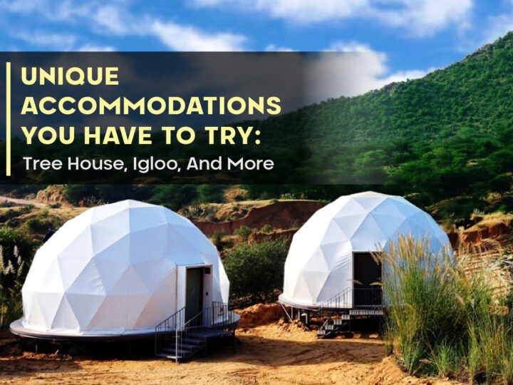 Unique Accommodations You Have To Try: Tree House, Igloo, And More