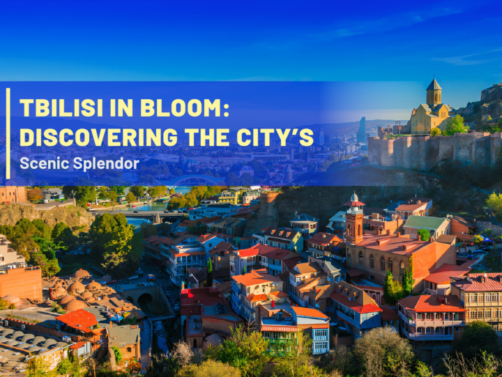 Tbilisi in Bloom: Discovering the City’s Scenic Splendor