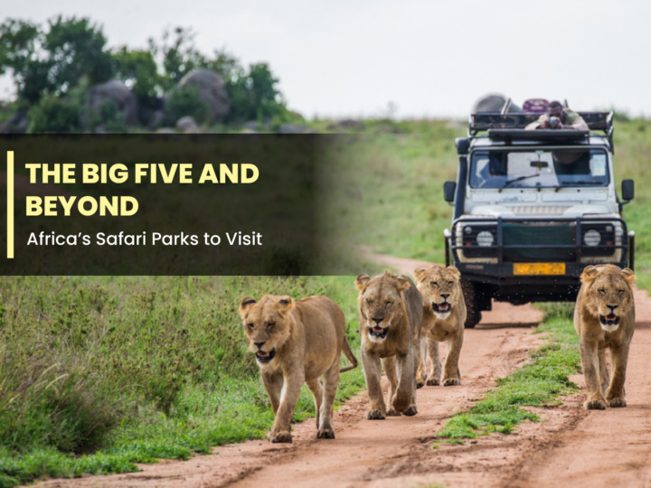 The Big Five and Beyond: Africa’s Safari Parks to Visit