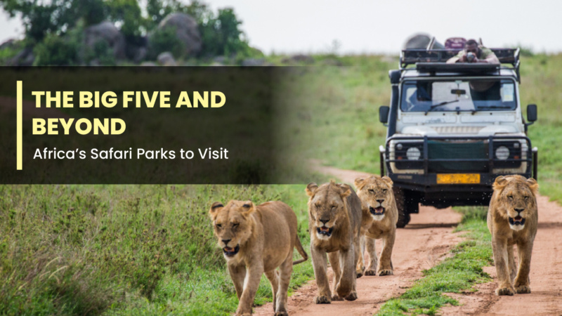 The Big Five and Beyond: Africa’s Safari Parks to Visit