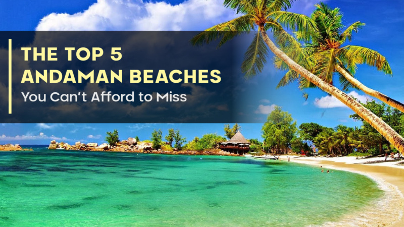 The Top 5 Andaman Beaches You Can’t Afford to Miss