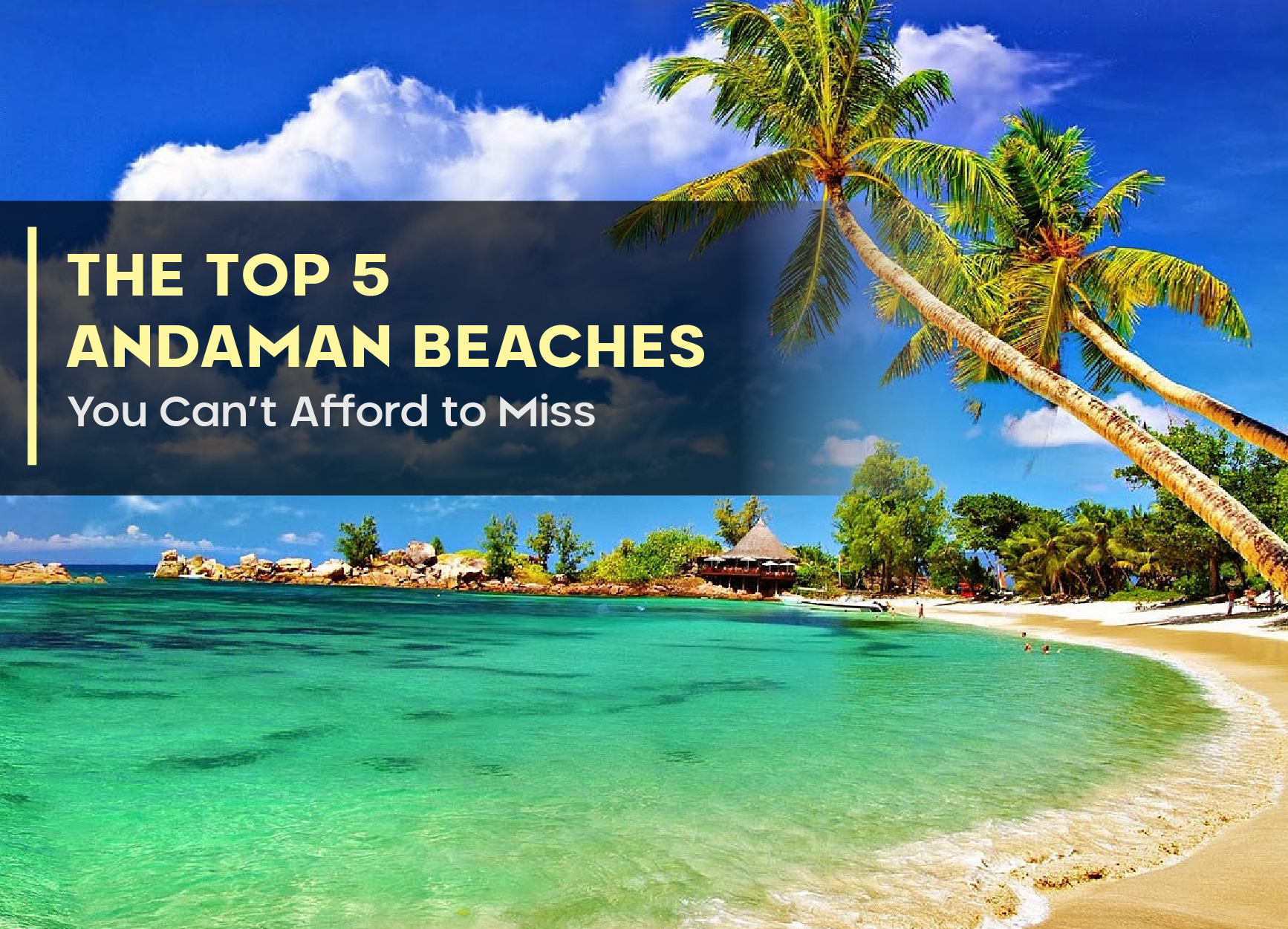 The Top 5 Andaman Beaches You Can’t Afford to Miss