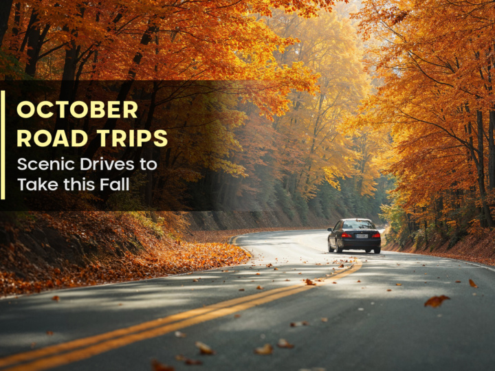 October Road Trips: Scenic Drives to Take this Fall