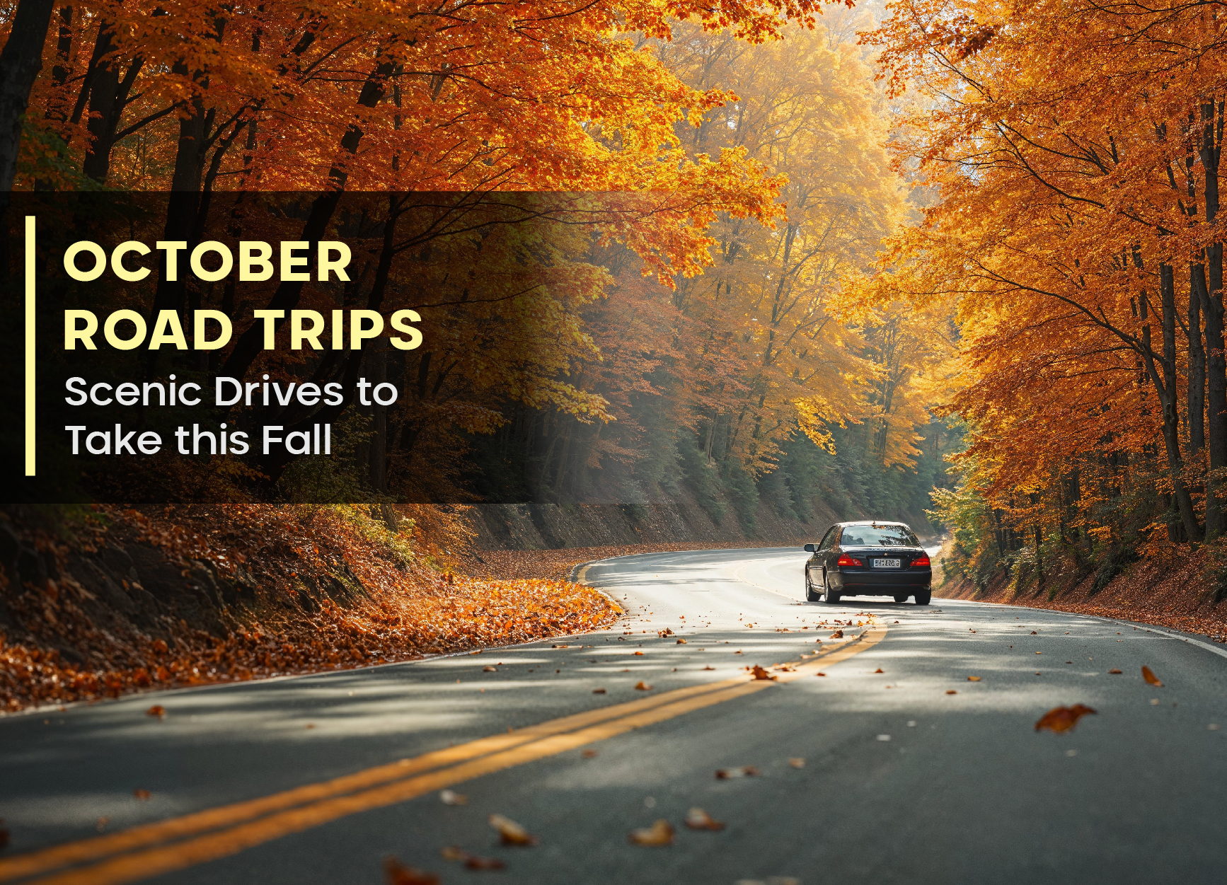 October Road Trips: Scenic Drives to Take this Fall