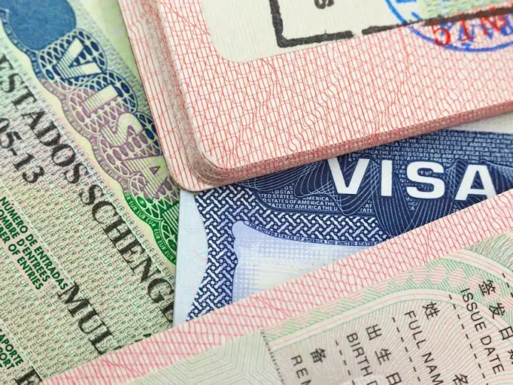 New visa reforms could boost South Africa’s economy by 1.2 percent