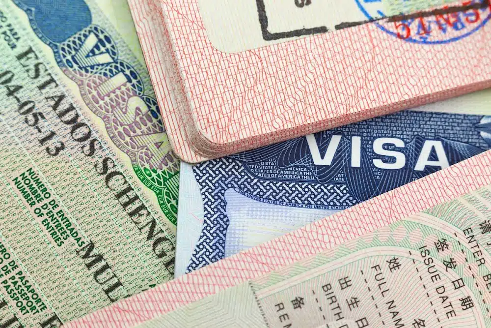 New visa reforms could boost South Africa’s economy by 1.2 percent