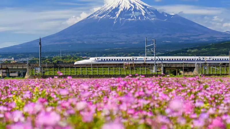 Japan witnesses record-breaking year for tourism with 40% visitor growth from India