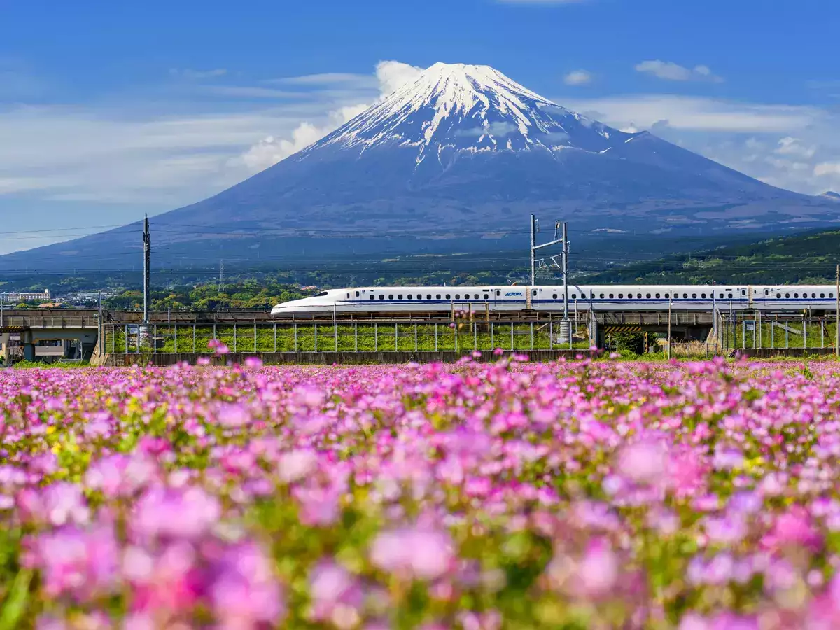 Japan witnesses record-breaking year for tourism with 40% visitor growth from India