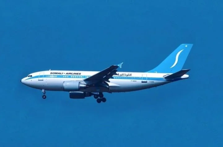 Somali Airlines Takes Flight Again: New Era of Connectivity Opens Doors