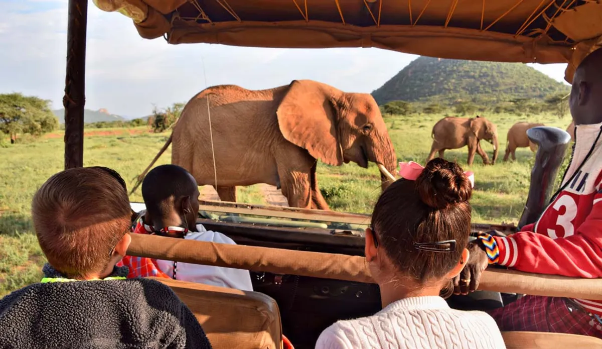 Africa Showcase Australia 2025 Boosts Luxury Safari Demand and Expands Market Reach