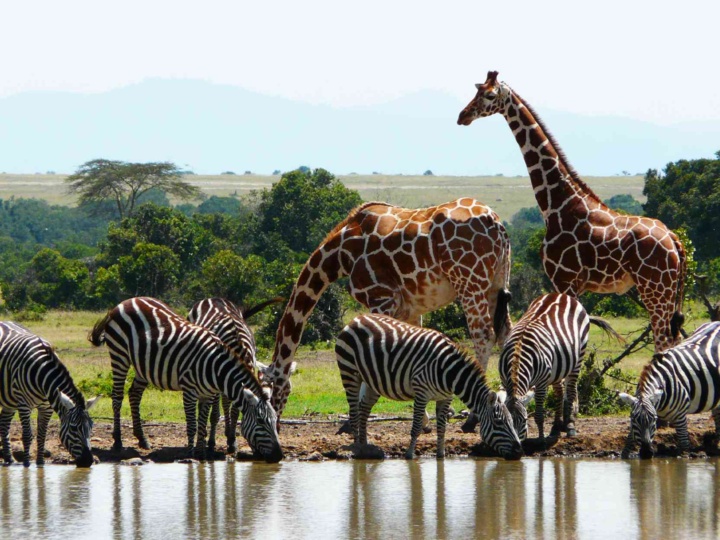 Kenya Eyes Tourism Diversification to Sustain Growth and Stand Out in Africa