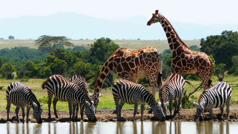 Kenya Eyes Tourism Diversification to Sustain Growth and Stand Out in Africa