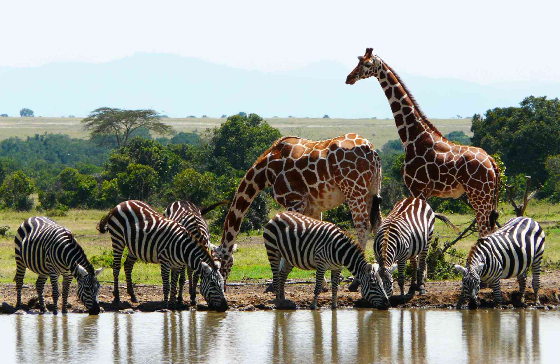 Kenya Eyes Tourism Diversification to Sustain Growth and Stand Out in Africa