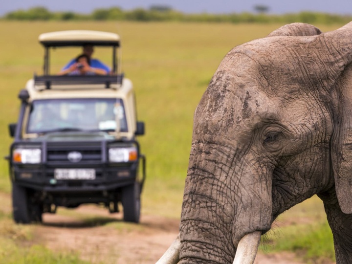 African Travel Revolution: Global Sustainability Trends Create New Business Opportunities