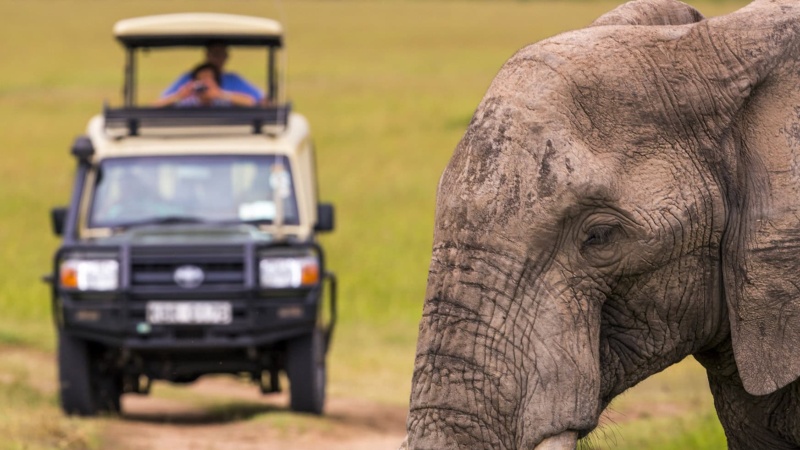 African Travel Revolution: Global Sustainability Trends Create New Business Opportunities