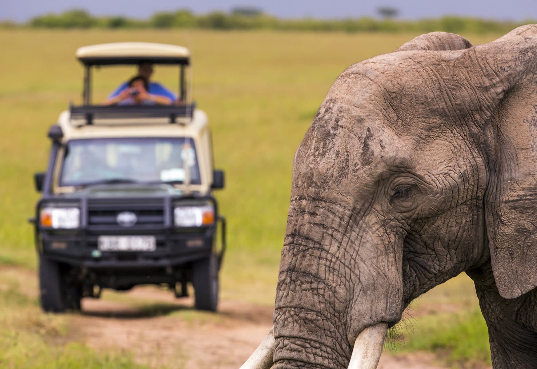 African Travel Revolution: Global Sustainability Trends Create New Business Opportunities