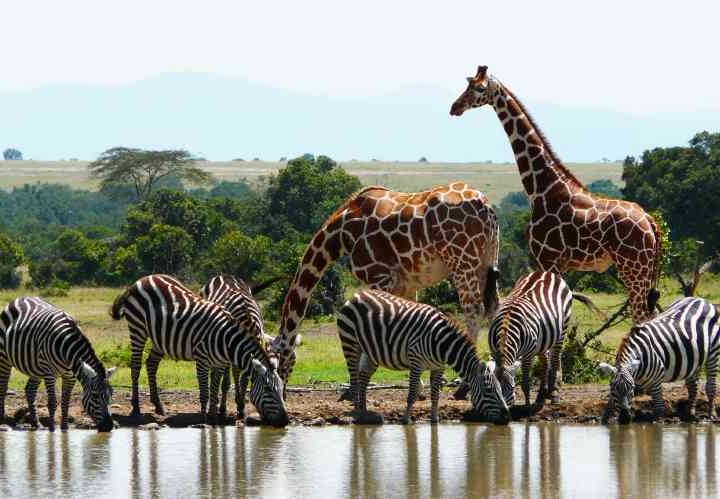 Kenya’s Soaring Government Travel Spend