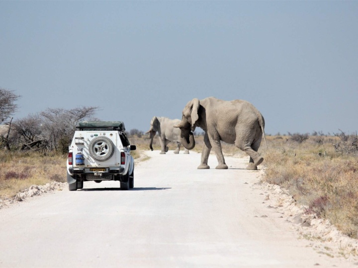 Major Road Upgrade in Etosha National Park Enhances Self-Drive Safari Experience