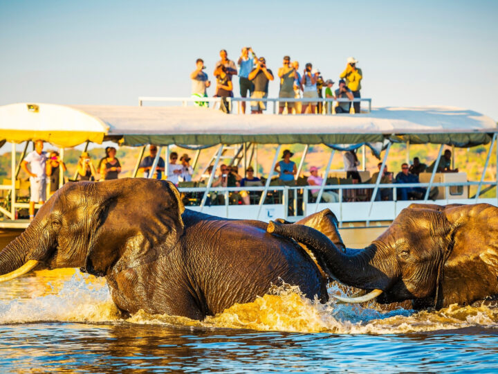 Botswana Reinforces High-Value Tourism Strategy at Cape Town Trade Platform