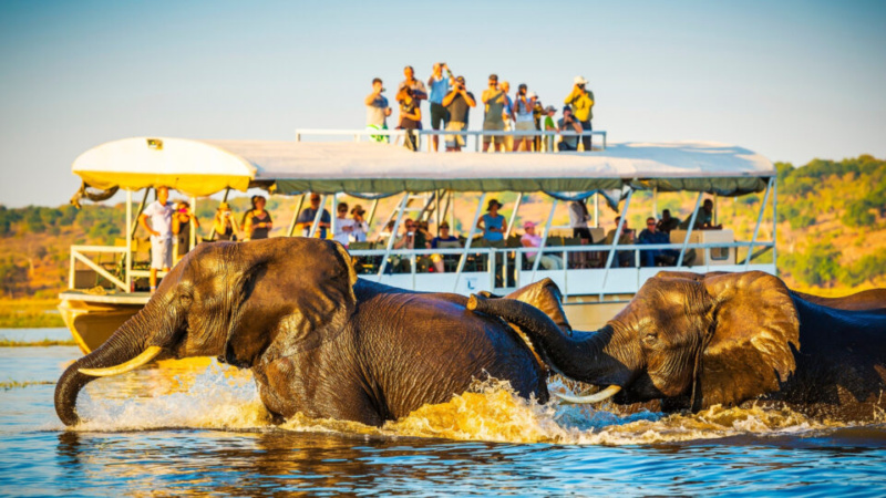 Botswana Reinforces High-Value Tourism Strategy at Cape Town Trade Platform