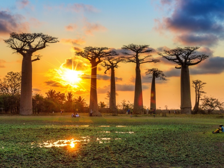 Comoros and Madagascar Restore Direct Flights After Four-Year Freeze, Reopening Indian Ocean Corrido