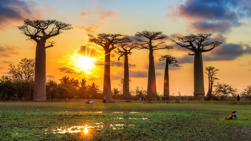 Comoros and Madagascar Restore Direct Flights After Four-Year Freeze, Reopening Indian Ocean Corrido