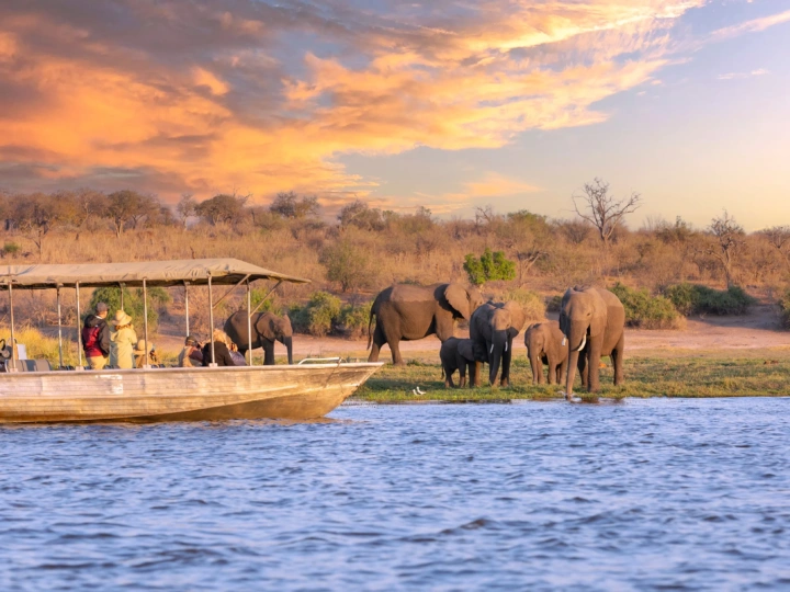 Botswana Keeps Current Park Fees in Place as Tourism Industry Talks Continue on Proposed Hikes