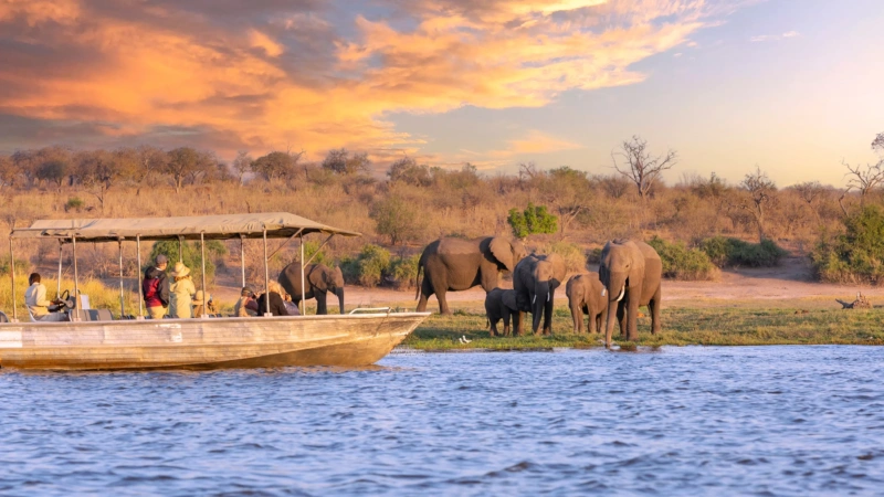 Botswana Keeps Current Park Fees in Place as Tourism Industry Talks Continue on Proposed Hikes