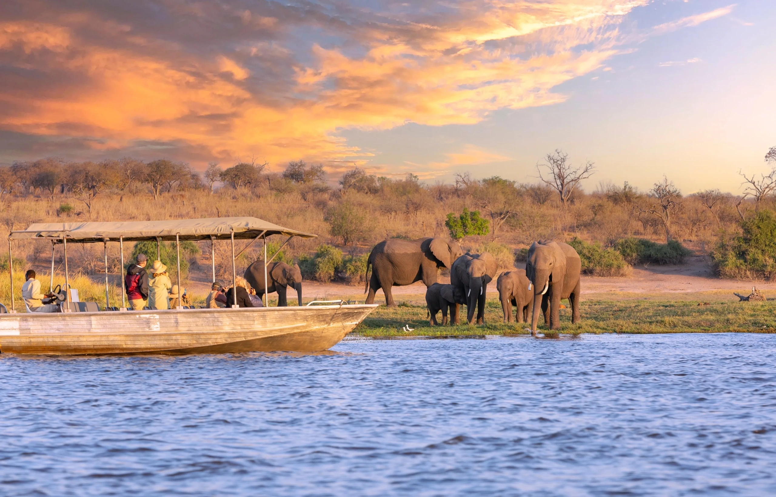 Botswana Keeps Current Park Fees in Place as Tourism Industry Talks Continue on Proposed Hikes