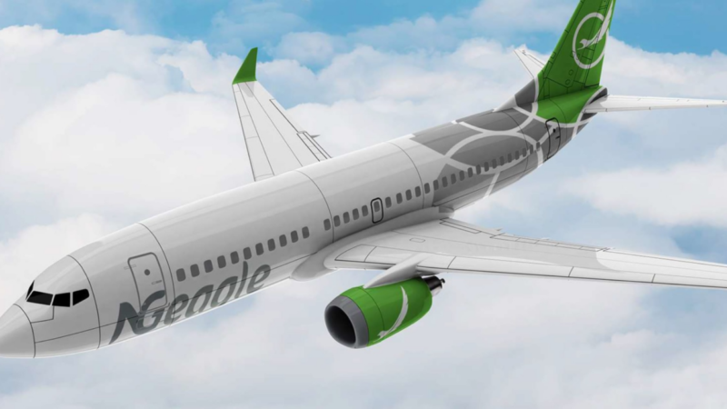 NG Eagle grounds Nigerian domestic flights as Boeing 737 heads to Congo’s ECAIR