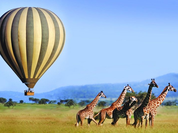 Serengeti Balloon Safaris Becomes First B Corp Balloon Operator With 97.1 Impact Score