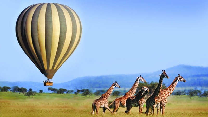 Serengeti Balloon Safaris Becomes First B Corp Balloon Operator With 97.1 Impact Score