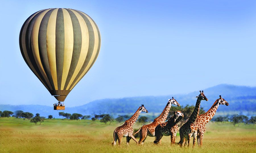 Serengeti Balloon Safaris Becomes First B Corp Balloon Operator With 97.1 Impact Score