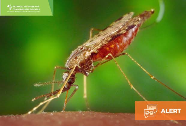 Southern Africa Malaria Alert: What October 2026 Means for Safari and Beach Bookings