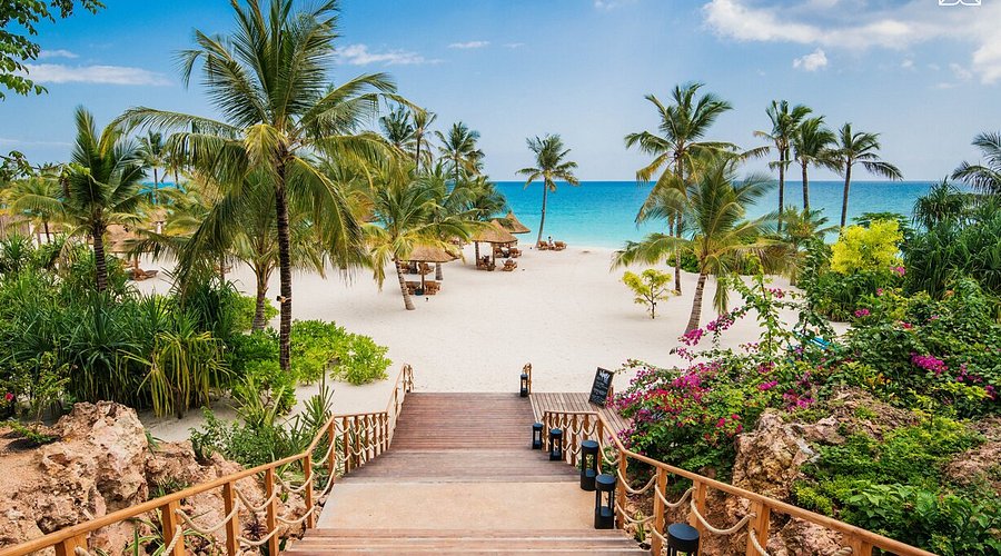 Zanzibar Seats to Jump 33% as Gulf Routes Surge and Hotel Rates Slide 18%
